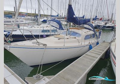 Dehler Optima 850 Segelbåt 1972, Holland