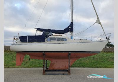 Dehler Optima 850 Segelbåt 1972, Holland