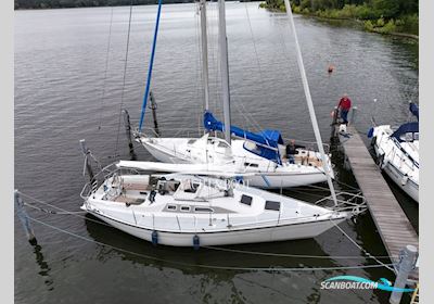 Dehler Yachtbau 34 Segelbåt 1992, med Yanmar motor, Tyskland