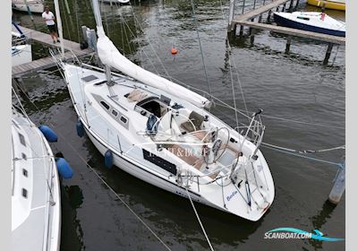 Dehler Yachtbau 34 Segelbåt 1992, med Yanmar motor, Tyskland