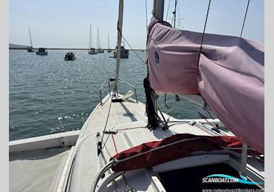 Dragonfly 800 swing-wing Segelbåt 1992, med tohatsu motor, England