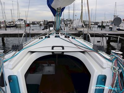 Fan 20 Segelbåt 2006, Holland