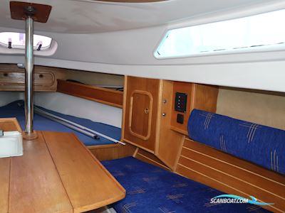 Fan 20 Segelbåt 2006, Holland