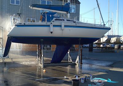 Granada 27 Segelbåt 1977, med Torqeedo motor, Danmark