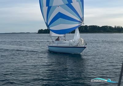 Granada 27 Segelbåt 1981, med Yanmar 7HK motor, Danmark
