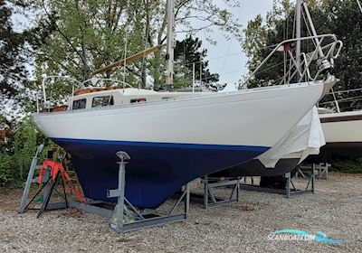 Great Dane 28 Segelbåt 1972, med Yanmar 3gm30 motor, Danmark