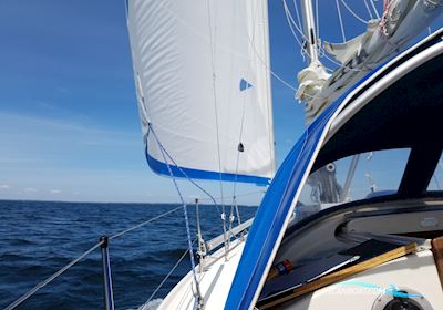 Hallberg Rassy 26 Segelbåt 1979, med Volvo Penta MD5 motor, Sverige