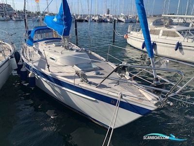Hallberg-Rassy 29 Segelbåt 1988, med Solé (Mitsubishi) motor, Tyskland
