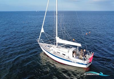 Hallberg Rassy 29 Segelbåt 1984, med Volvo Penta Md7b serviced 2025. motor, Danmark