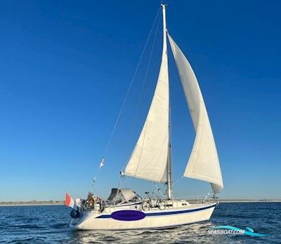 Hallberg-Rassy 31 Mki Segelbåt 1995, med Volvo Penta motor, Holland
