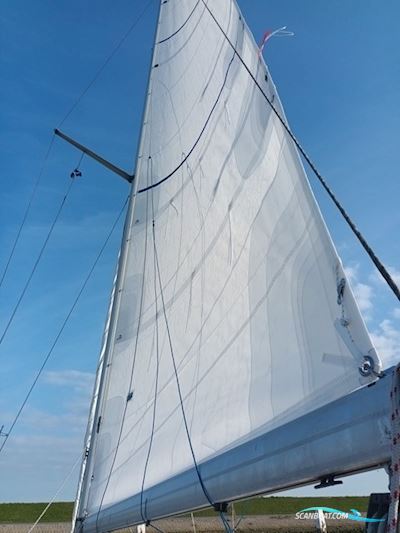 Hallberg-Rassy 31 Mki Segelbåt 1995, med Volvo Penta motor, Holland