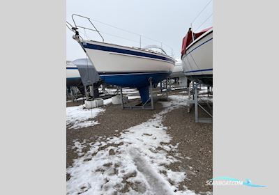 Hallberg Rassy 31 Mkii Scandinavia. Segelbåt 2007, Danmark
