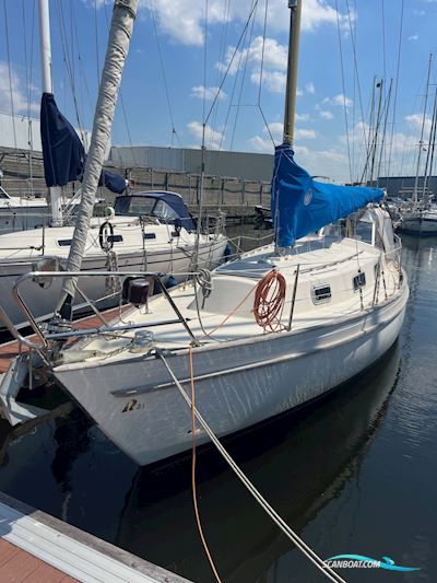 Hallberg Rassy 31 Monsun Segelbåt 1976, med Volvo Penta motor, Holland