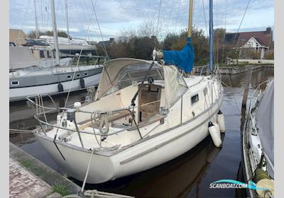 Hallberg Rassy 31 Monsun Segelbåt 1976, med Volvo Penta motor, Holland