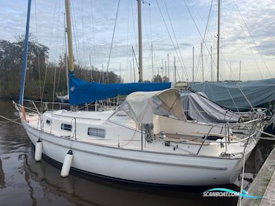 Hallberg Rassy 31 Monsun Segelbåt 1976, med Volvo Penta motor, Holland
