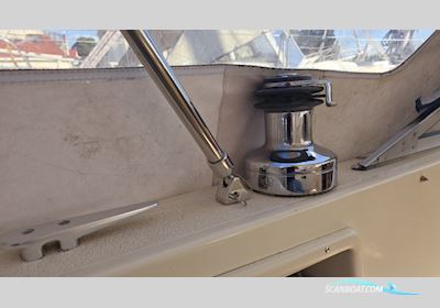 Hallberg-Rassy 312 Segelbåt 1986, med Vetus motor, Holland