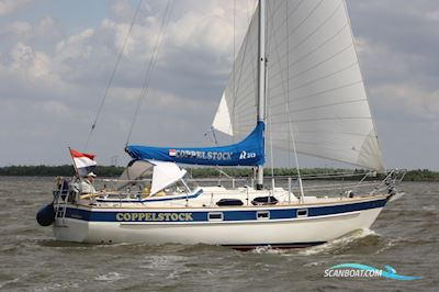 Hallberg-Rassy 312 Segelbåt 1986, med Vetus motor, Holland