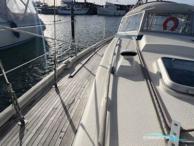 Hallberg Rassy 312 Segelbåt 1984, med Lombardini motor, Danmark