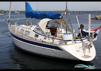 Hallberg-Rassy 34 Segelbåt 1995, med Volvo Penta motor, Holland