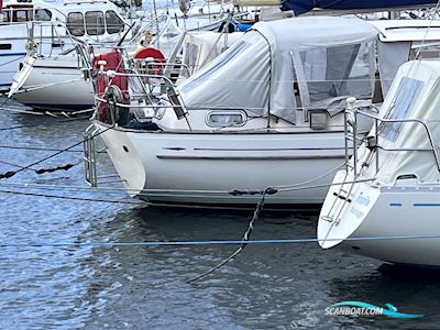 Hallberg Rassy 35 - Rasmus - 1976 - Mariager Segelbåt 1976, med Volvo D2-55 (ilagt 2020) motor, Danmark