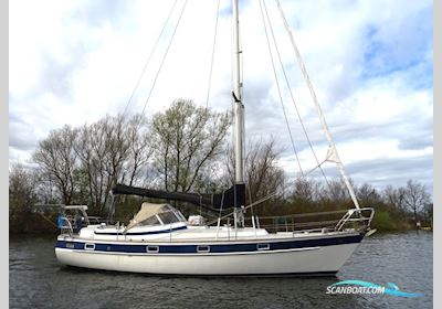 Hallberg Rassy 352 Segelbåt 1982, med Volvo Penta D2 55 motor, Holland