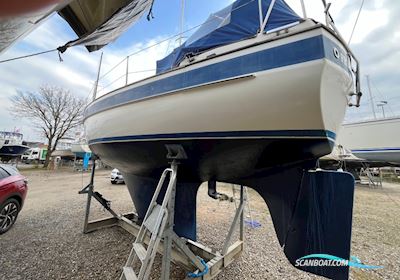 Hallerg Rassy 29 Segelbåt 1985, med Volvo Penta MD2002 motor, Danmark