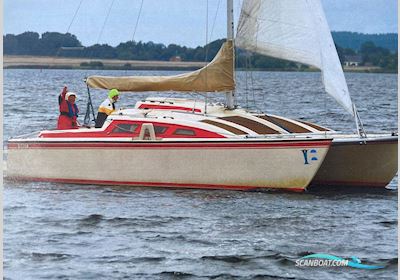Havcat 27 C Segelbåt 1981, med Suzuki motor, Danmark