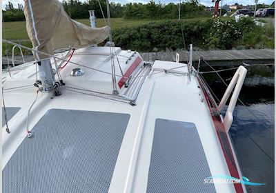 Havcat 27 C Segelbåt 1981, med Suzuki motor, Danmark