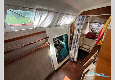 Havcat 27 C Segelbåt 1981, med Suzuki motor, Danmark