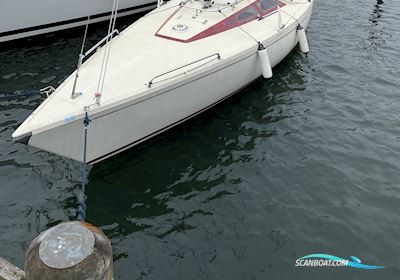 International 806 Segelbåt 1981, Danmark