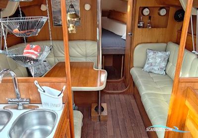 Jeanneau Sunshine Régate 38 Segelbåt 1983, med Yanmar motor, Danmark