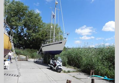 Kalik 33 Segelbåt 1976, med Yanmar motor, Holland