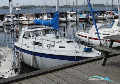 LM 32 Segelbåt 1980, med Volvo Penta MD 2040 motor, Danmark