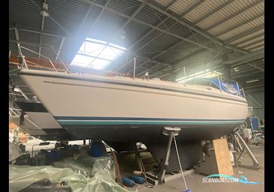 LM Mermaid 315 Segelbåt 1984, med Buch DV 20 motor, Danmark