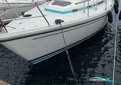 LM Mermaid 315 Segelbåt 1987, med Bukh DV24 motor, Danmark