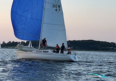 Larsen 28 Segelbåt 1987, med Vire motor, Danmark