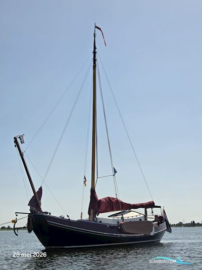 Liamer 8.50 Zeilschouw Zeeschouw Segelbåt 1980, med Bukh motor, Holland