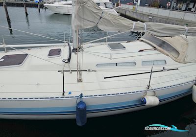 Luffe 44 Segelbåt 1985, med Nanni N30 (Kuboto) motor, Danmark