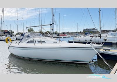 Maxi 800 Segelbåt 1992, med Volvo Penta motor, Holland