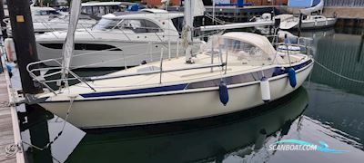 Maxi 95 Segelbåt 1979, med Vetus motor, Tyskland
