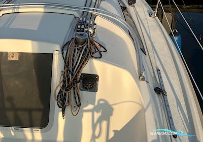Maxi Fenix Dinette Segelbåt 1983, med Volvo Penta D1-13 motor, Danmark