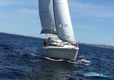 Maxi Fenix Segelbåt 1984, med Vetus motor, Danmark