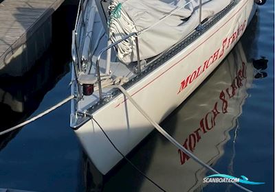 Molich X Meter Segelbåt 1976, med Nanni 3.75 HE motor, Danmark