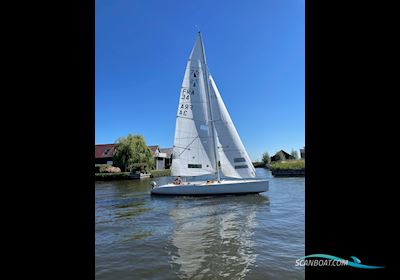 Mono Racer 750 Segelbåt 1989, Holland