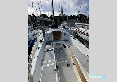 Moody 29 Segelbåt 1981, med Beta motor, Ireland