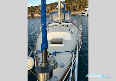 Morgan 462 Segelbåt 1981, med Perkins motor, Virgin Islands