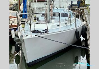 Northern Comfort 43 Segelbåt 2000, Holland