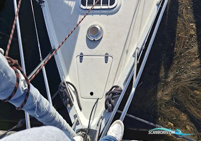 OE24 Olle Enderlein Segelbåt 1981, med Yanmar YSB12 motor, Danmark