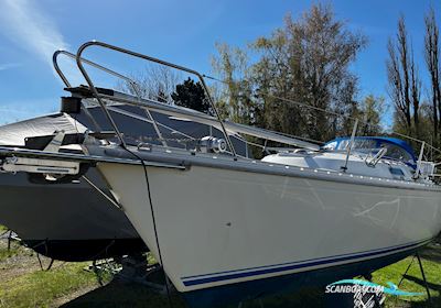 Omega 36 Segelbåt 1987, med Yanmar 3YM30 motor, Danmark