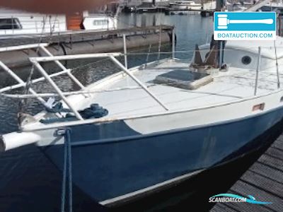 Pieter Beeldsnijder Gouwzee Segelbåt 1977, med Saab motor, Holland